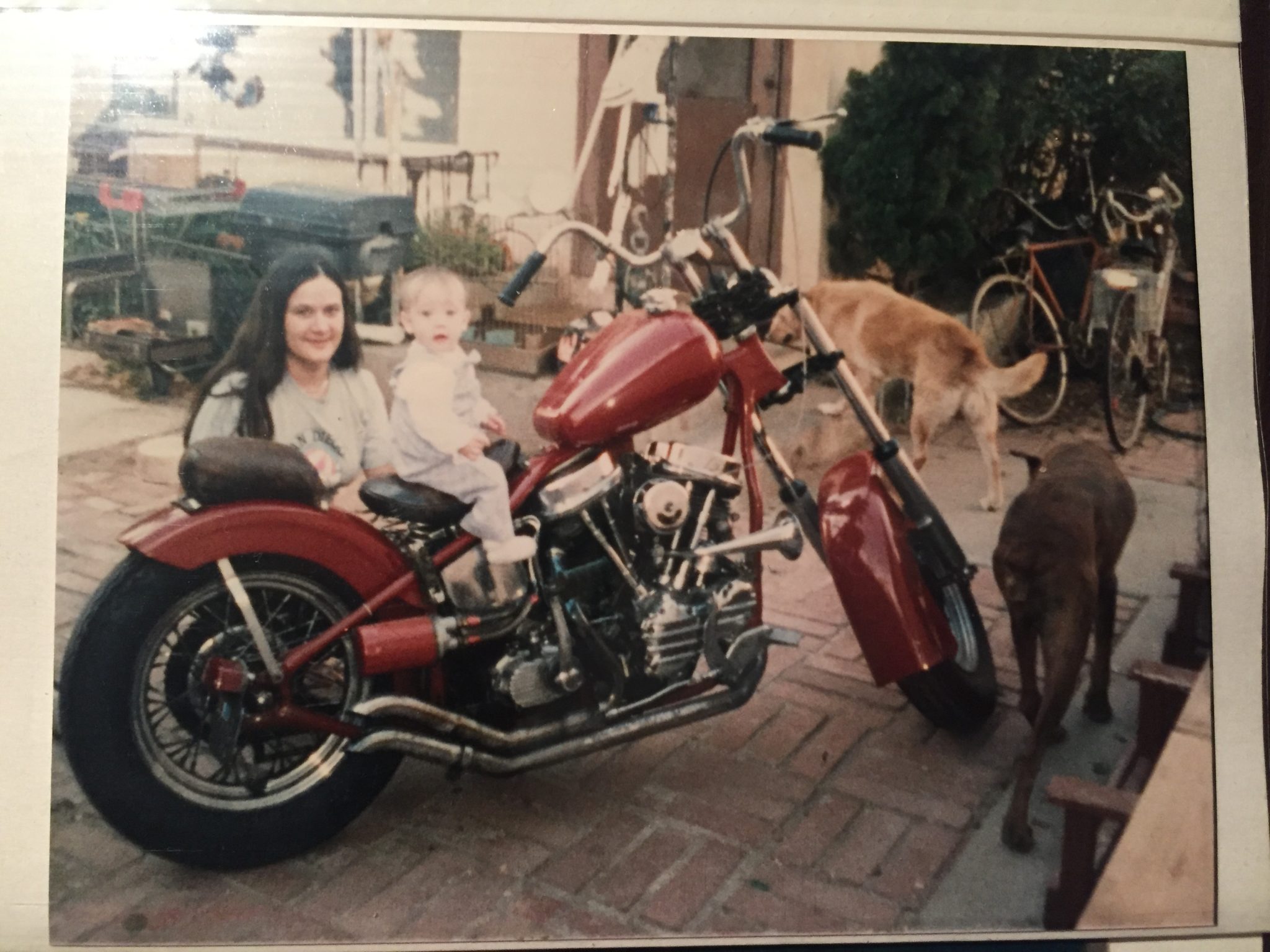 Baby Katie on Dad's Panhead